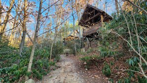 A rustic cabin nestled in a forest, accessible by a dirt path.