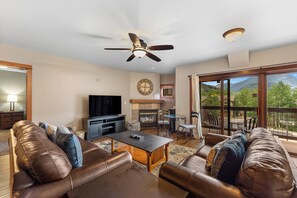 TV, fireplace, DVD player