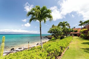 Beach - Ocean View KUL418 - West Maui Beach Front, Fabulous Condo! (Lahaina)