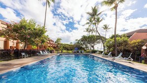 Une piscine avec des chaises longues et des palmiers.