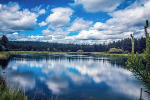 Un lago calmo con i riflessi del cielo e degli alberi, immerso in una zona boschiva.