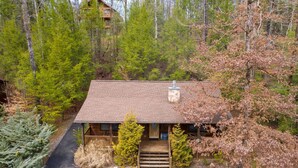 A cabin with a front porch, surrounded by trees and a driveway. - ER307- Eagle's View- Great location- Close to town (Pigeon Forge)