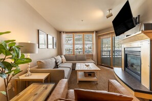 TV, fireplace, DVD player, video library