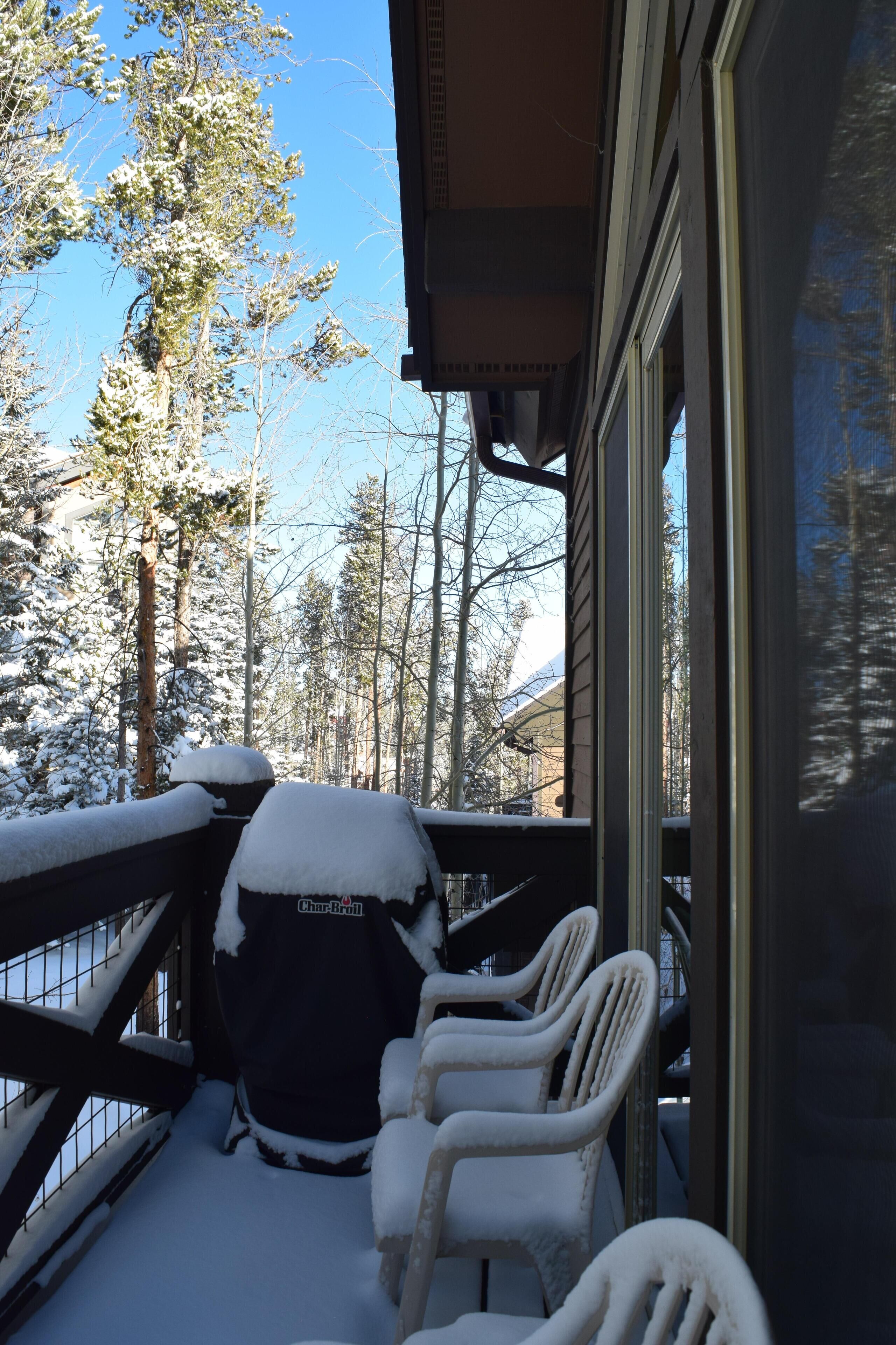 Ein überdachter Außenbereich mit schneebedeckten Stühlen und einem Grill, mit Blick auf einen verschneiten Wald.