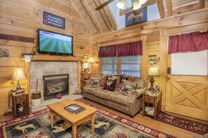 Een televisie, een open haard en een dvd-speler