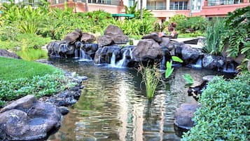 A landscaped garden with a small waterfall, surrounded by rocks and lush greenery.