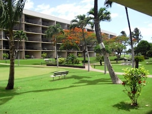 Property grounds