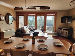 Smart TV, fireplace, DVD player, books