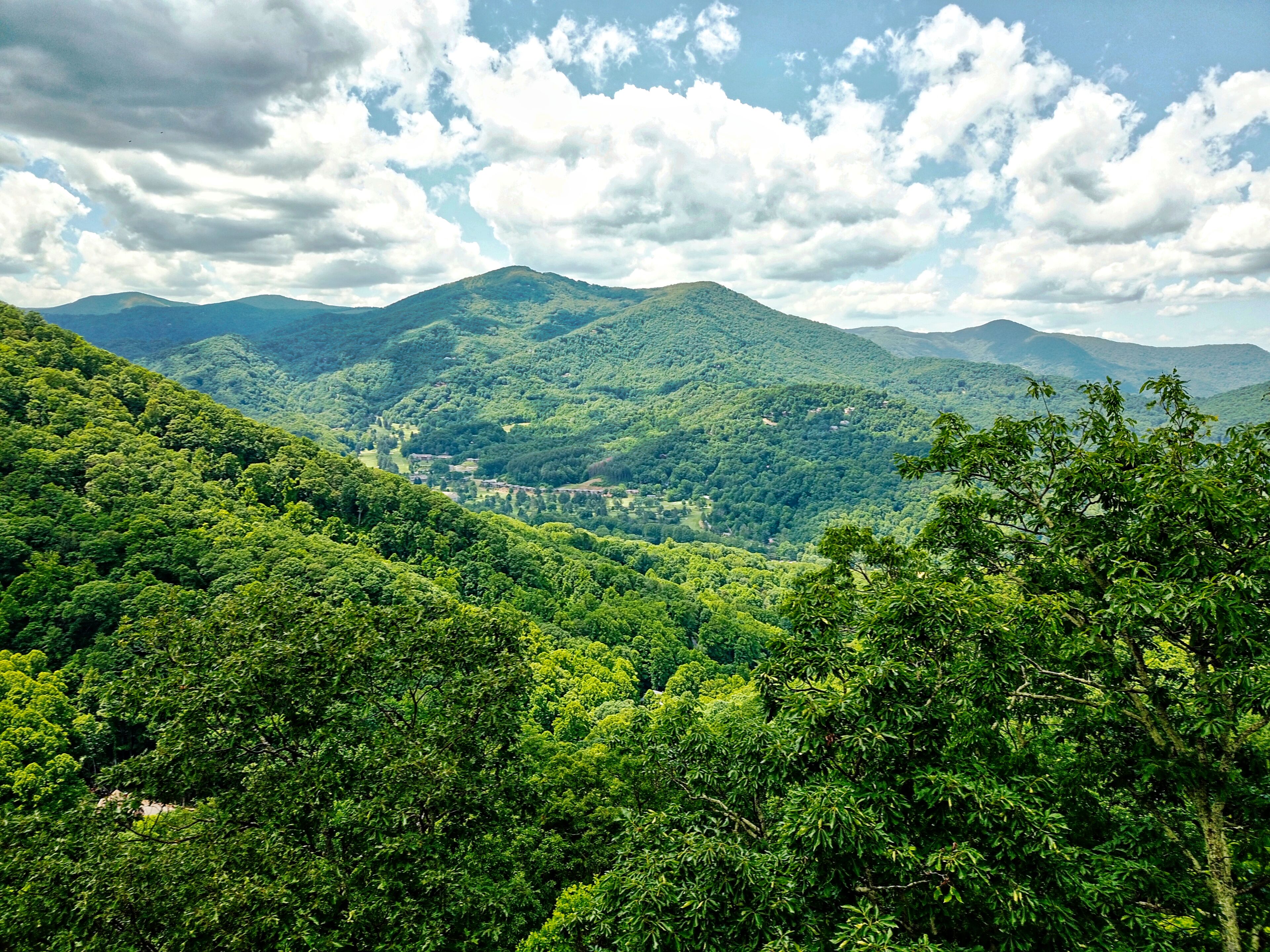 A mountainous landscape with dense green forests and a valley.