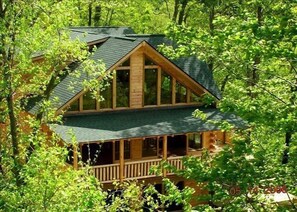 Escape to a serene forest retreat with a cozy cabin featuring a gabled roof and inviting front porch.