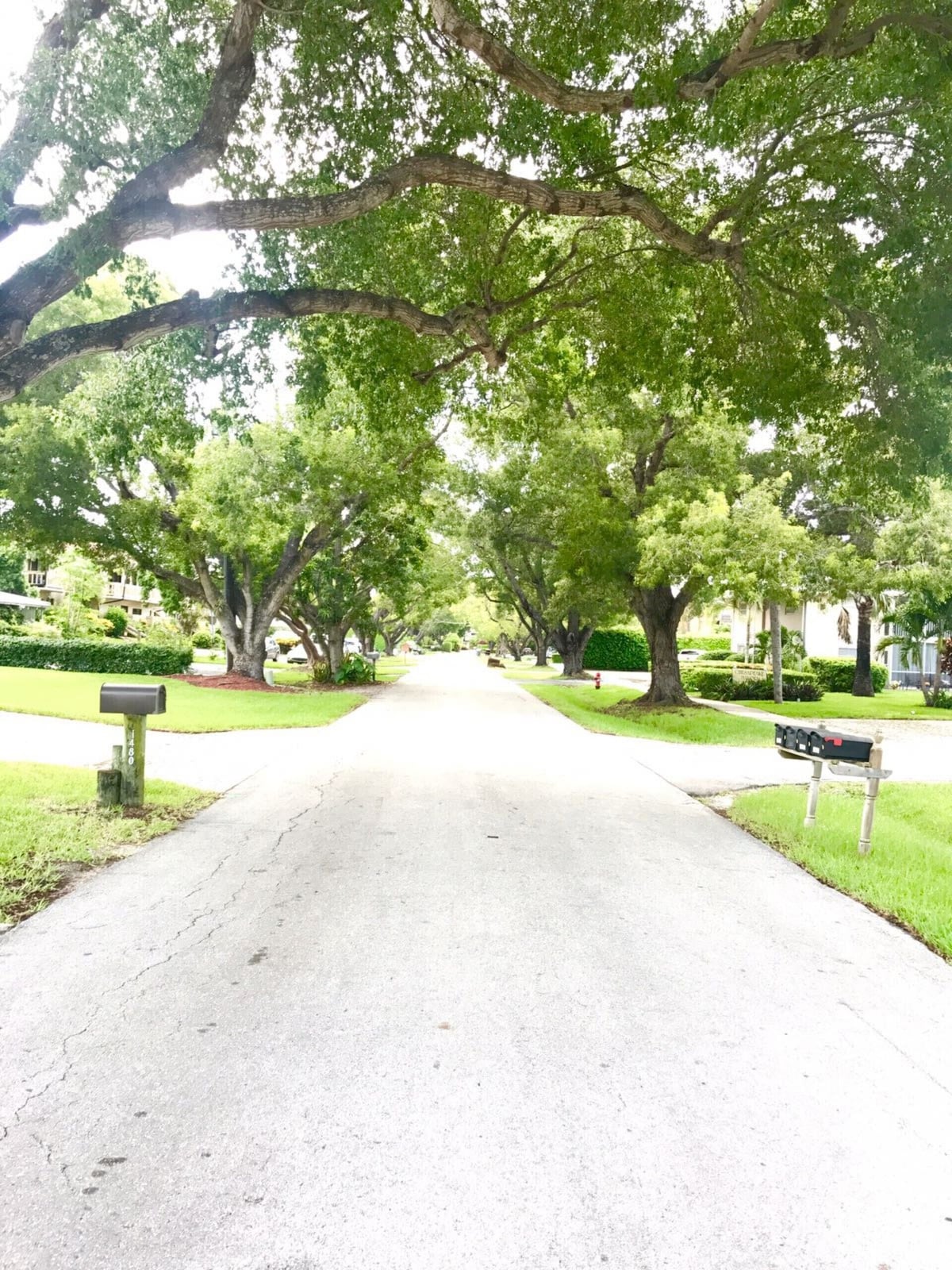 Photo 33 of Boaters Paradise : 3 bedroom waterfront home close to downtown Naples Fl.