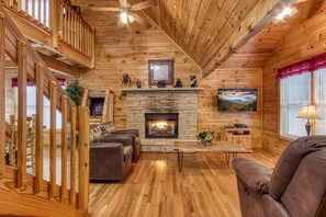 TV, fireplace, video games, DVD player