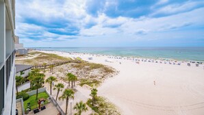 Une vue sur la plage depuis un balcon, avec un ciel dégagé, une plage de sable et quelques palmiers.