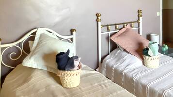 2 slaapkamers, een bureau, een strijkplank/strijkijzer, internet