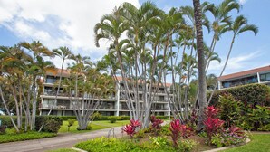 Un hotel con varios pisos, palmeras en el exterior y jardines bien cuidados.