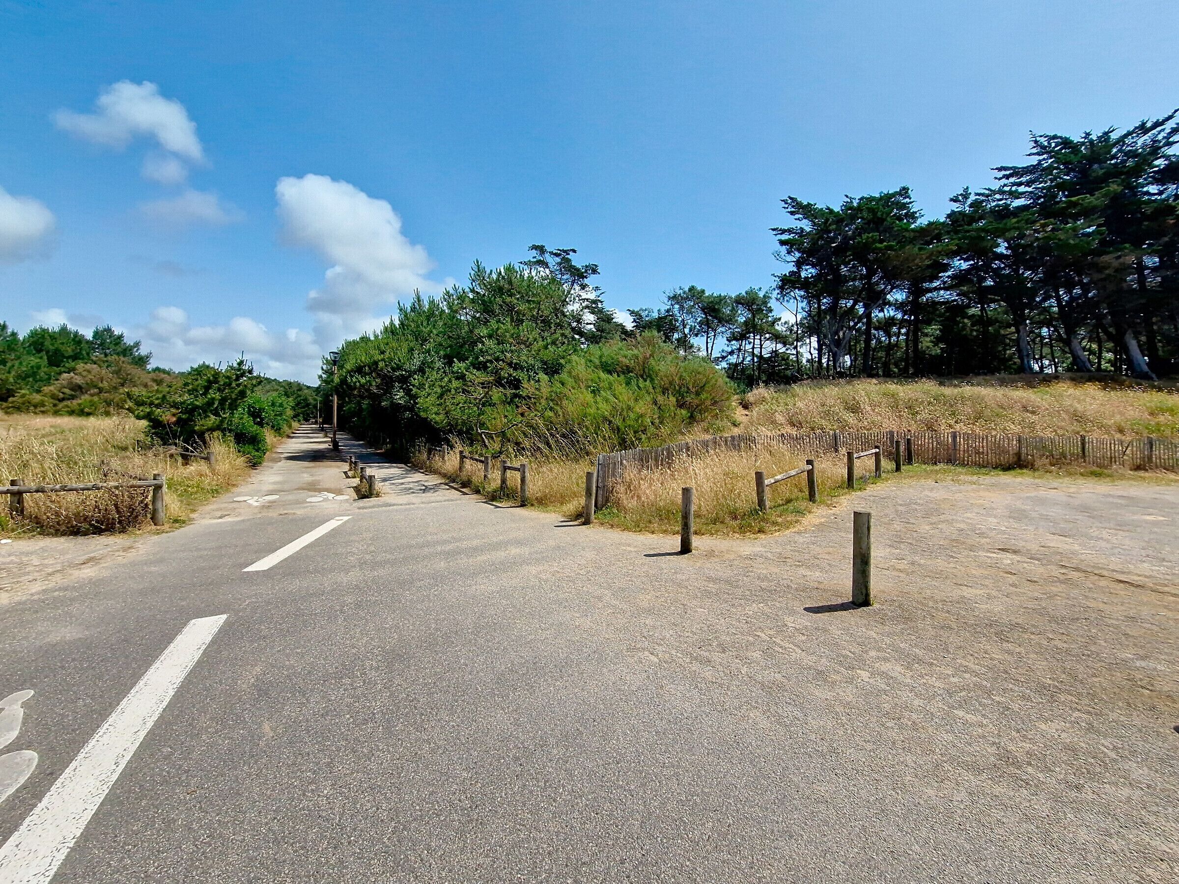 A paved road with a white line marking, flanked by wooden fences and trees.