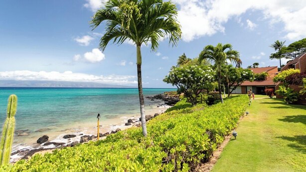 A coastal view with a clear sky, a palm tree, and a building with a red roof.