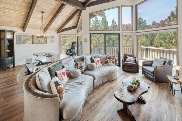 Televisión, chimenea, videojuegos, reproductor de DVD