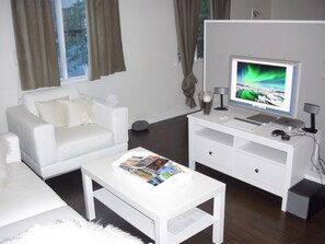 TV, bøker og stereoanlegg