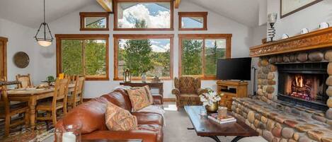 TV, fireplace, offices