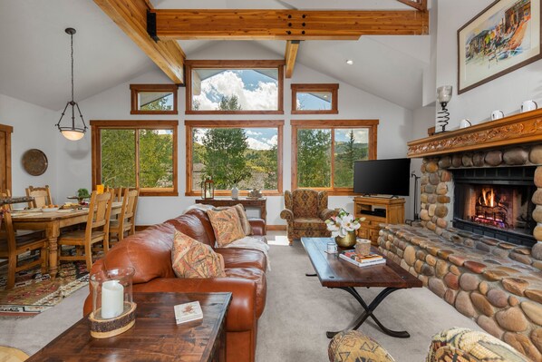 Télévision, cheminée, lecteur de DVD, chaîne hi-fi