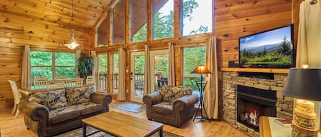 Televisie, een open haard, een dvd-speler en boeken