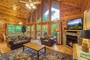 TV, fireplace, DVD player, books