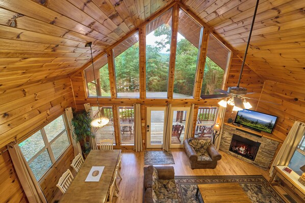 TV, fireplace, DVD player, books