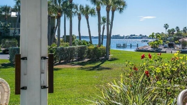 A view of a waterfront property with palm trees, a grassy area, and a dock.