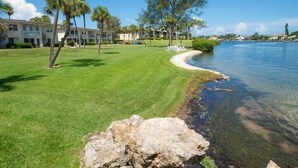 A waterfront property with a grassy lawn, palm trees, and a clear view of the water.