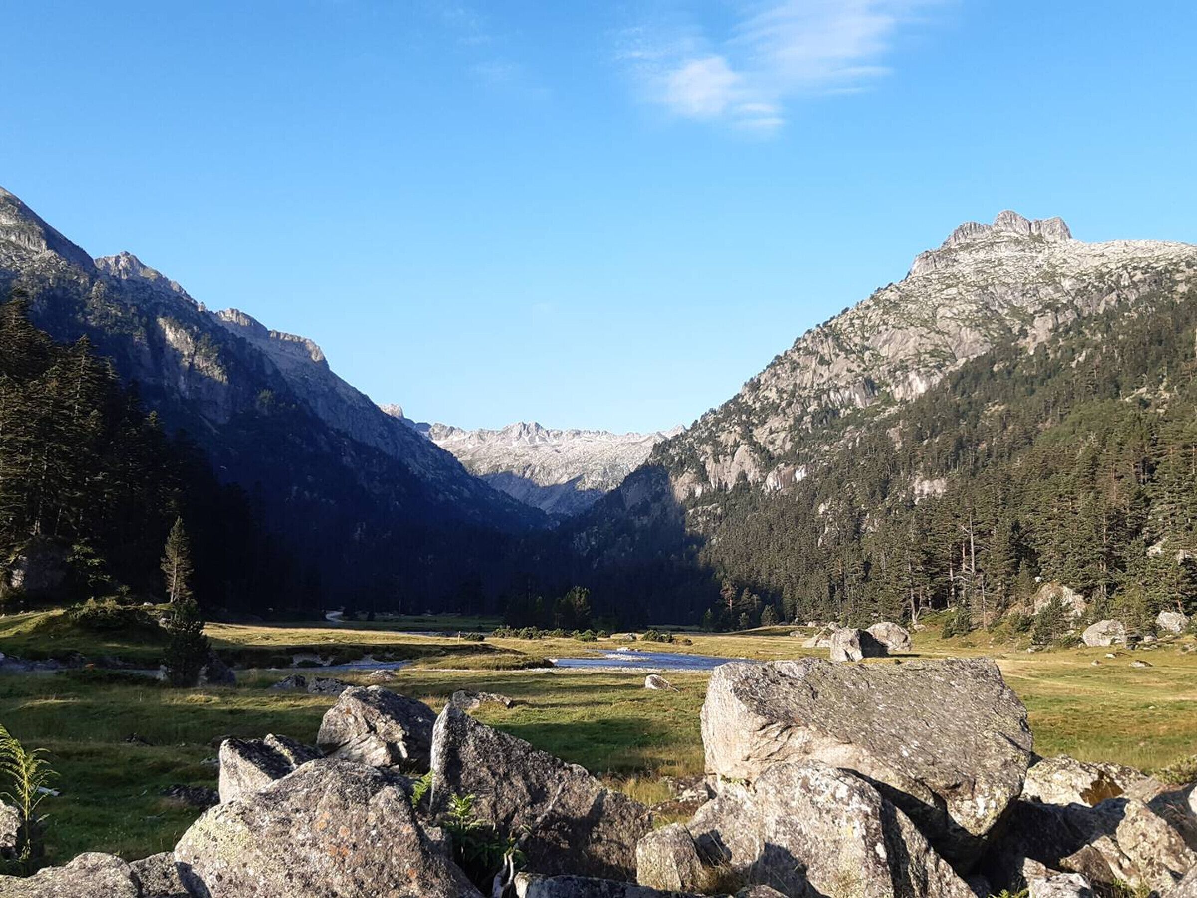 A mountainous landscape with a valley, rocky foreground, and dense forest.