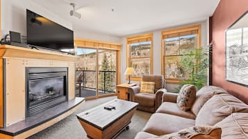 Flat-screen TV, fireplace, DVD player