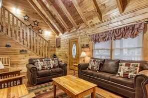 Een televisie, een open haard, een dvd-speler en boeken