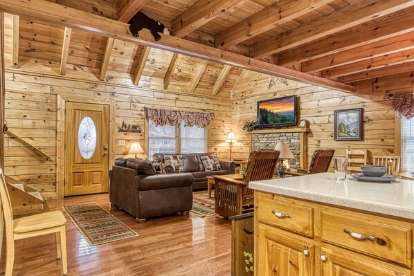 TV, fireplace, DVD player, books