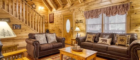 TV, fireplace, DVD player, books