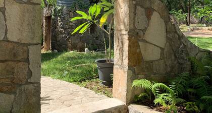 Robert Wood Art Cottage - Near Floores Country Store, SeaWorld & Fiesta Texas