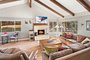 TV, fireplace, DVD player