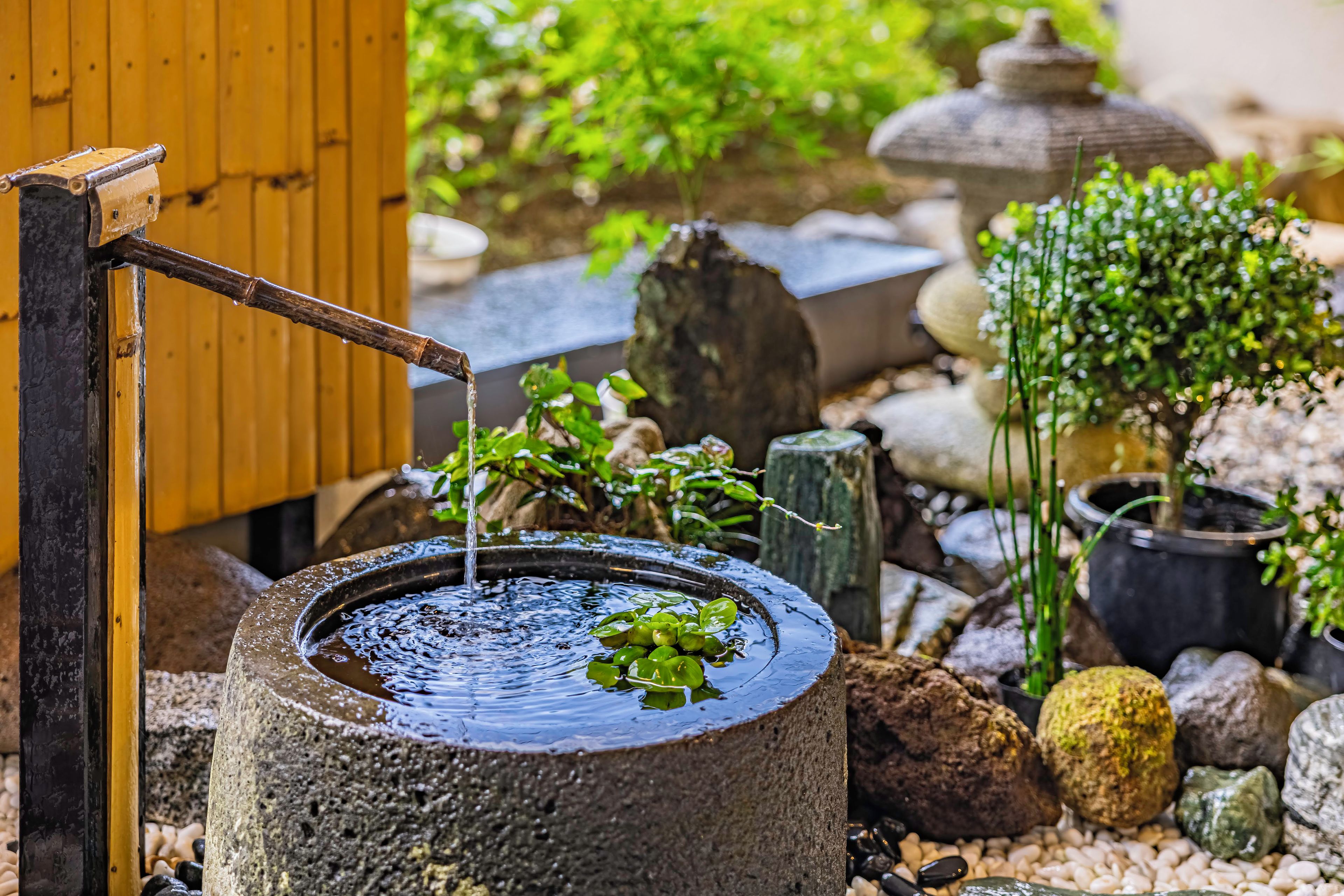 A traditional water pump with a wooden handle, surrounded by rocks and greenery.