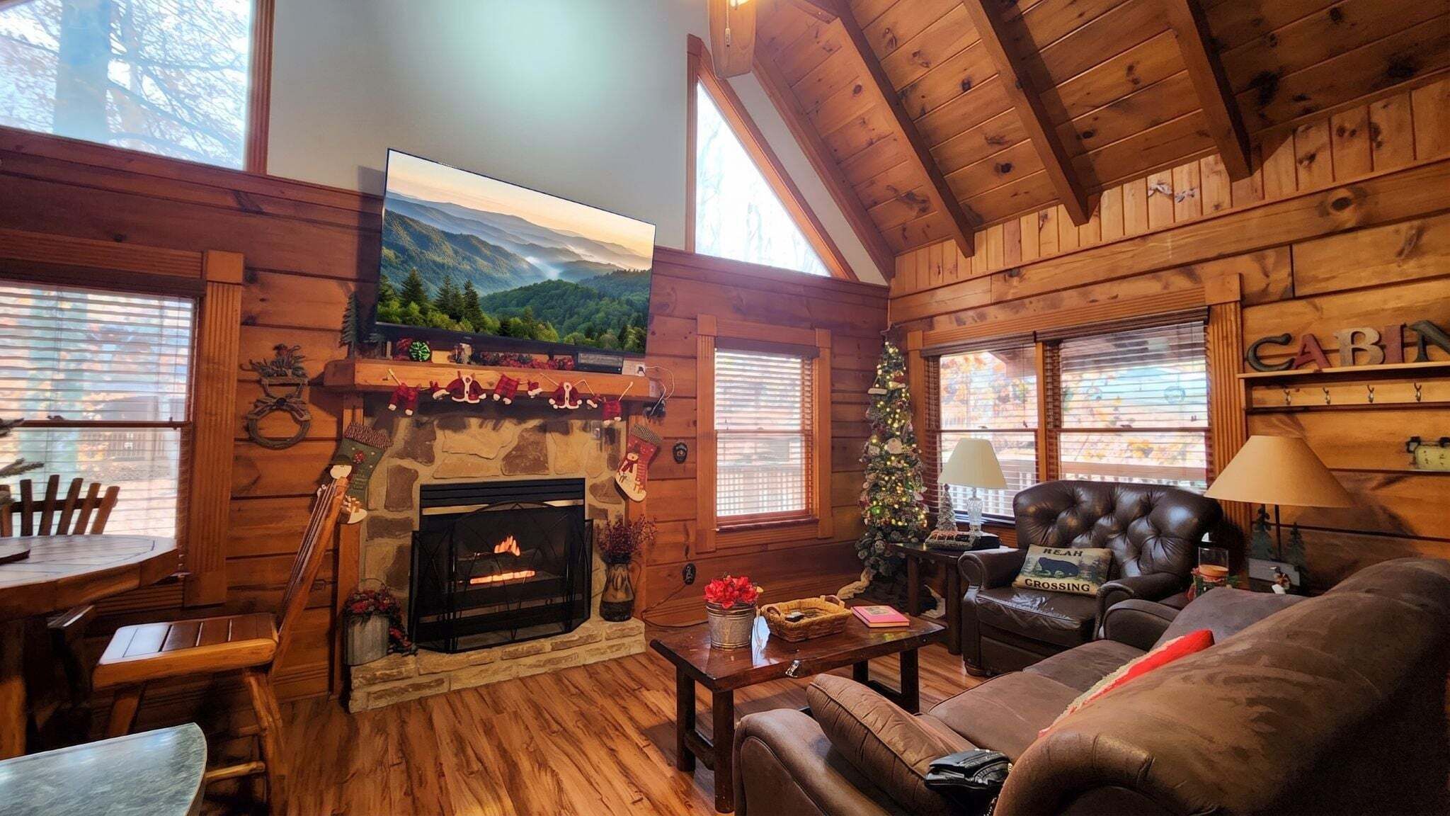 TV, fireplace, DVD player