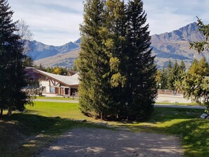 A lodge with a large coniferous tree in front, a gravel driveway, and mountains in the background.