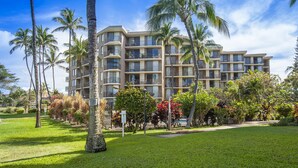Un hotel de varios pisos con balcones, rodeado de palmeras y abundante vegetación.