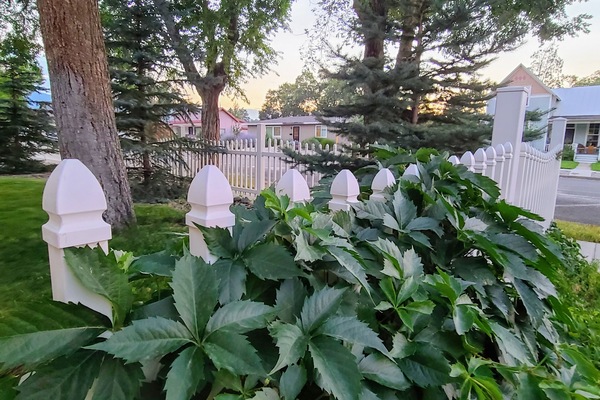 Àrea exterior de l'allotjament