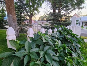 Property grounds - Where Victorian Meets Cottage Farmhouse (Salida)