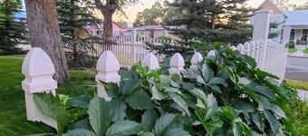 Where Victorian Meets Cottage Farmhouse