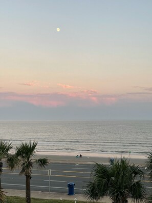 A beach view with palm trees, a parking lot, and a distant moon. - Ocean Front, Gorgeous Property Featured On HGTV Beachfront Bargain Hunt (Galveston)