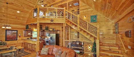 Tv, pejs, dvd-afspiller