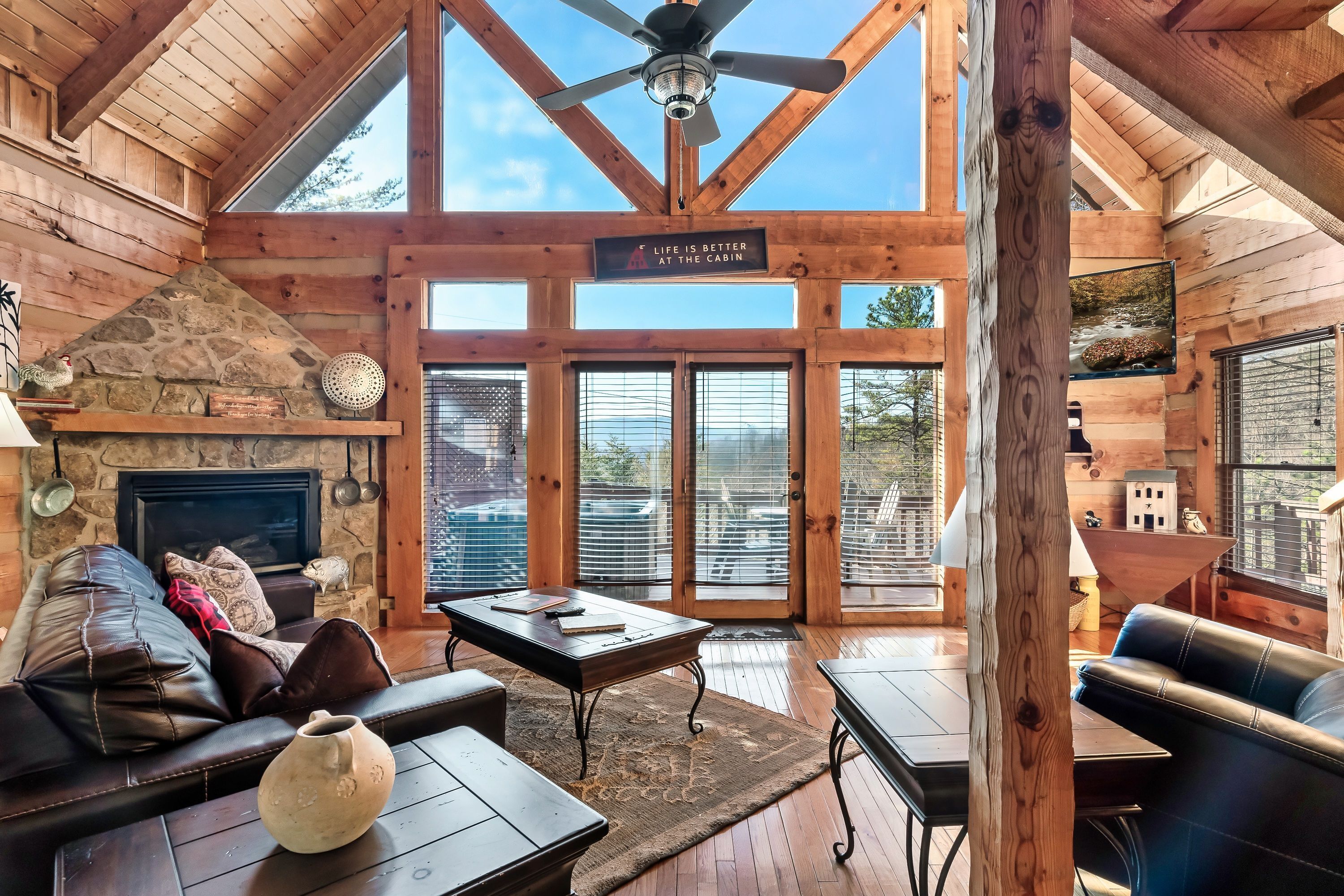 Smart TV, fireplace, books, music library