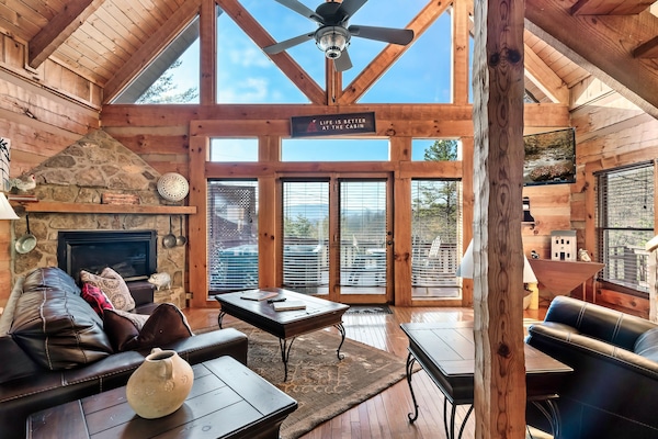 TV connectée, cheminée, livres, médiathÚque