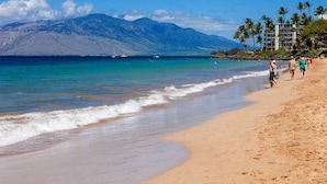 A beach with a mountain in the background, palm trees, and a few buildings.