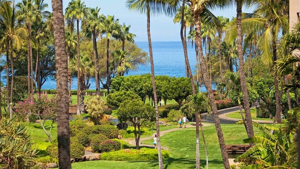 A lush garden with palm trees and a pathway leading to a body of water.
